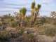 imgp3444_small.jpg