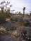 imgp3445_small.jpg