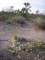 imgp3446_small.jpg