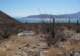 baja07007_small.jpg