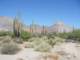 baja07009_small.jpg
