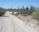 baja07010_small.jpg