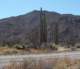 baja07012_small.jpg