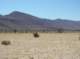 baja07014_small.jpg