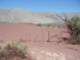 baja07015_small.jpg
