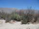 baja07016_small.jpg