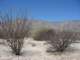baja07017_small.jpg