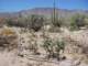 baja07019_small.jpg