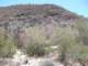 baja07023_small.jpg