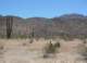 baja07024_small.jpg