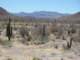 baja07027_small.jpg