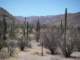 baja07028_small.jpg