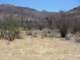 baja07029_small.jpg