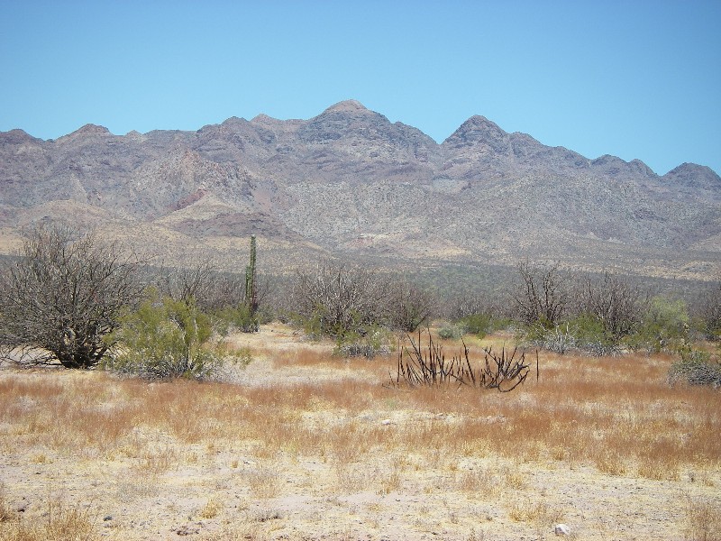 baja07036.jpg
