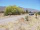 baja07039_small.jpg