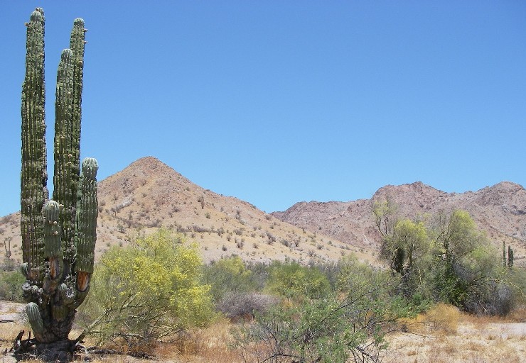 baja07040.jpg