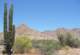 baja07040_small.jpg
