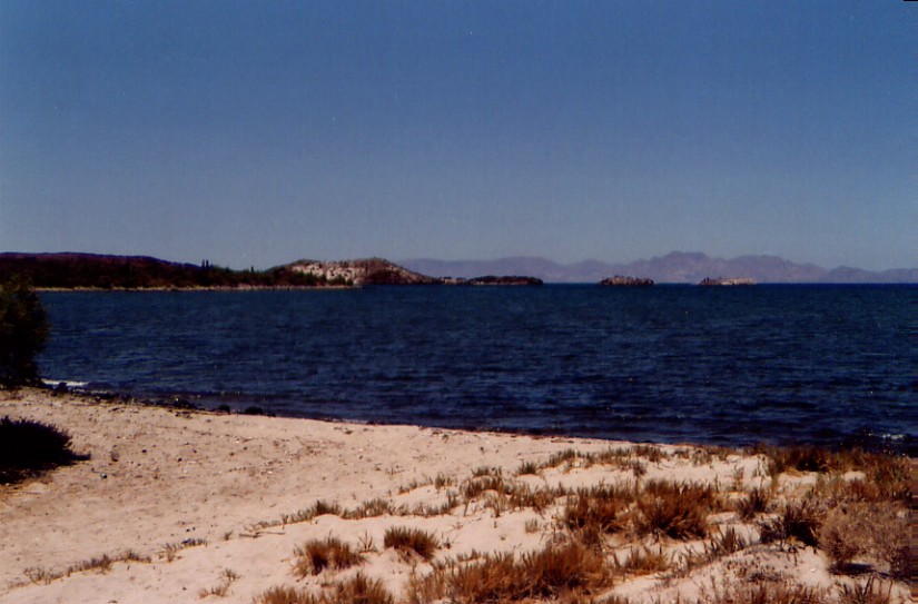 baja07059.jpg