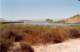 baja07060_small.jpg