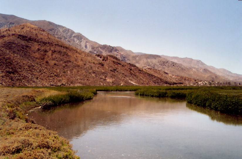 baja07062.jpg
