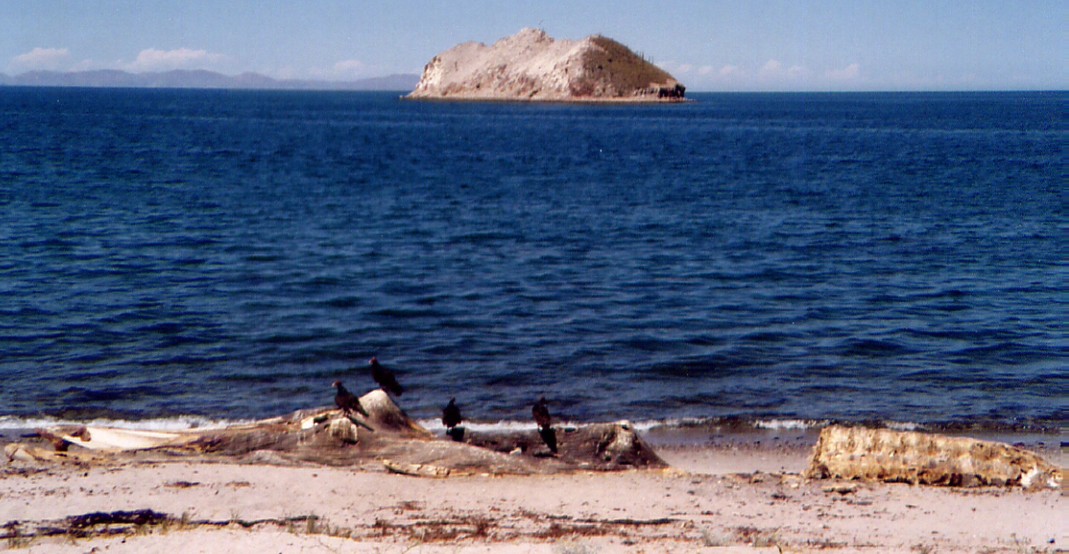 baja07064.jpg