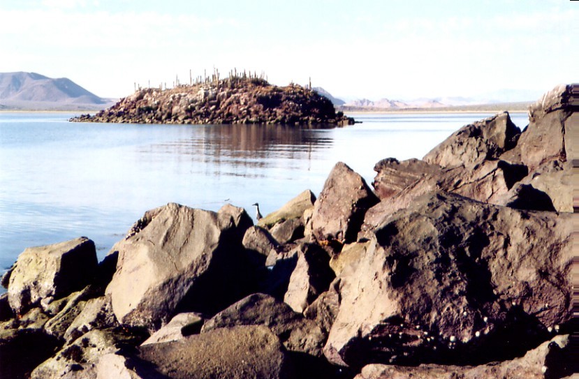 baja07066.jpg