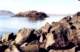baja07066_small.jpg