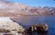 baja07068_small.jpg