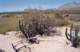 baja07073_small.jpg