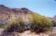 baja07074_small.jpg