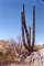 baja07075_small.jpg