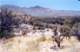 baja07076_small.jpg