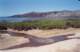 baja07079_small.jpg