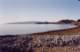 baja07096_small.jpg