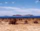 baja07099_small.jpg