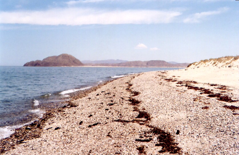 baja07100.jpg