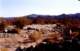 baja07101_small.jpg