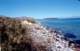 baja07114_small.jpg