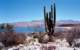 baja07117_small.jpg