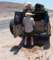 baja08001_small.jpg