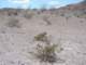 baja08006_small.jpg