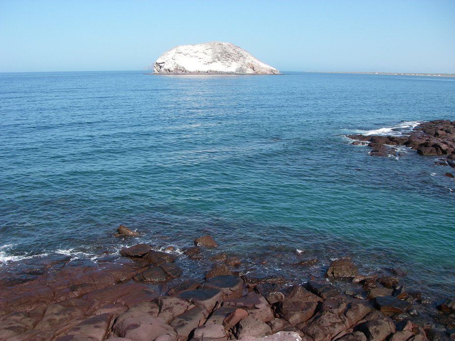 baja08022.jpg