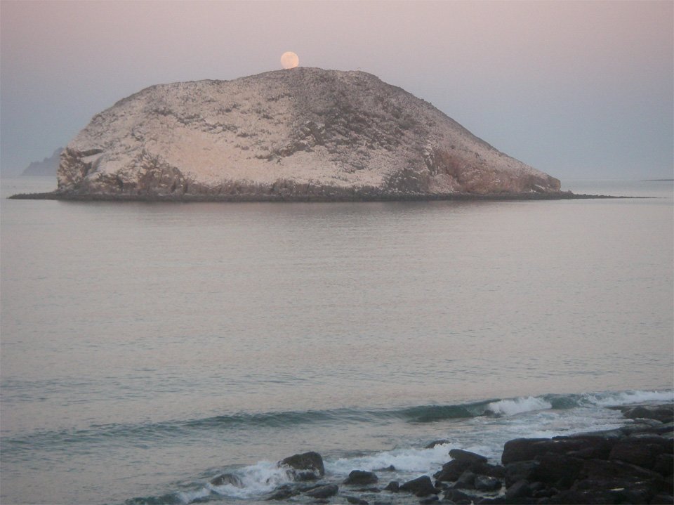 baja08028.jpg