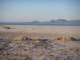 baja08030_small.jpg