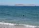 baja08036_small.jpg