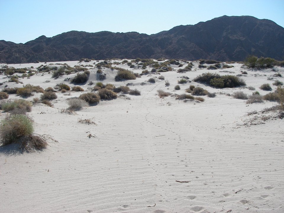 baja08045.jpg