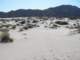 baja08045_small.jpg