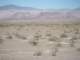 baja08046_small.jpg