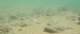 baja08058_small.jpg