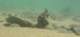 baja08059_small.jpg